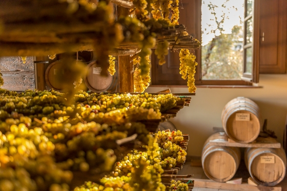 Nobile Di Montepulciano Wine Tour